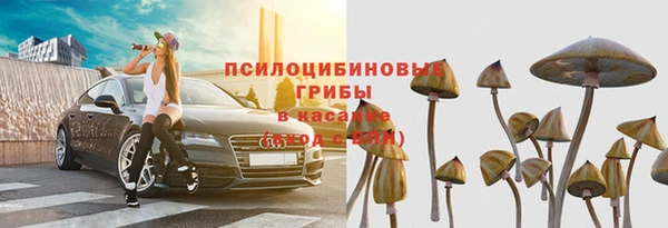 прущие крисы Верхний Тагил