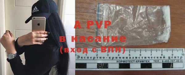 прущие грибы Верея
