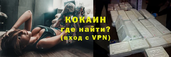 прущие грибы Верея