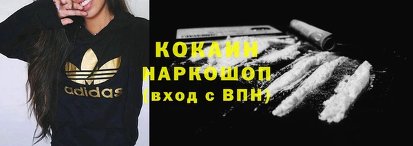прущие грибы Верея