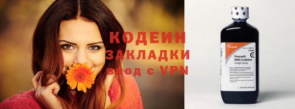 прущие грибы Верея