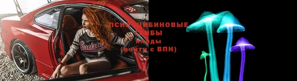 прущие грибы Верея