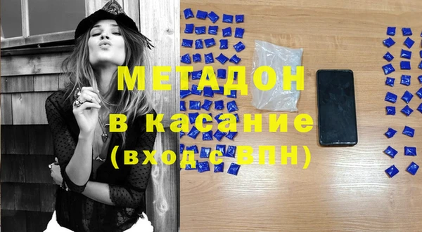 прущие грибы Верея