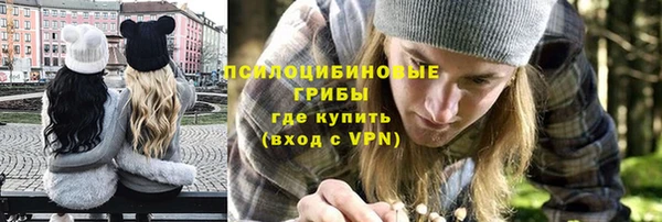 PSILOCYBIN Верхнеуральск