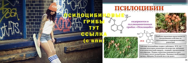 дживик Россошь