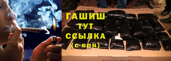 прущие грибы Верея