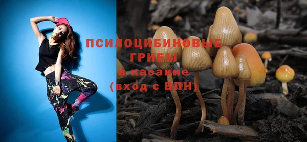 прущие грибы Верея