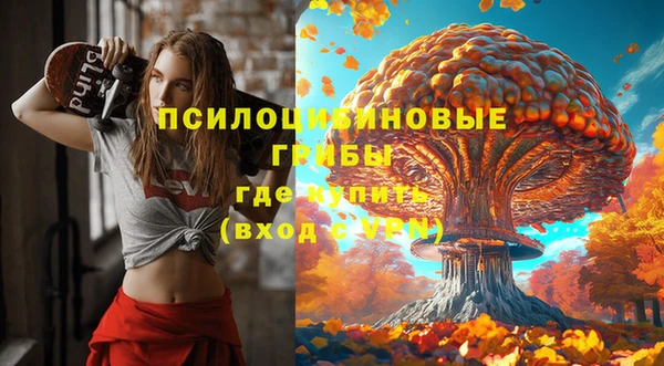 прущие крисы Верхний Тагил