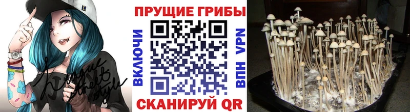 Галлюциногенные грибы Magic Shrooms  Отрадное 